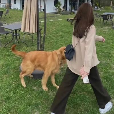 报告医妃